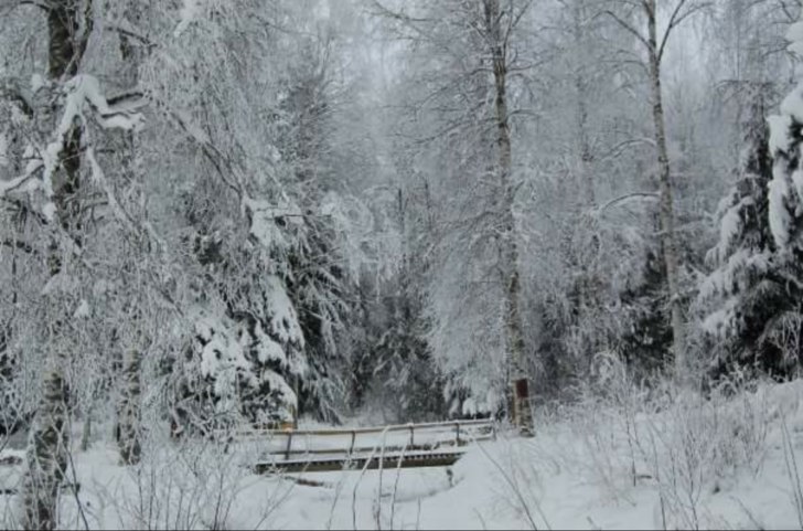 Bron över ån på väg motroligt stugan. Dom priv.
