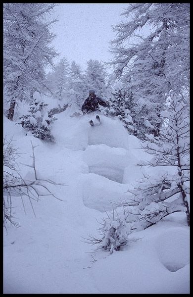 Foto: Anders Ödman. Åkare: Magnus Falkman.