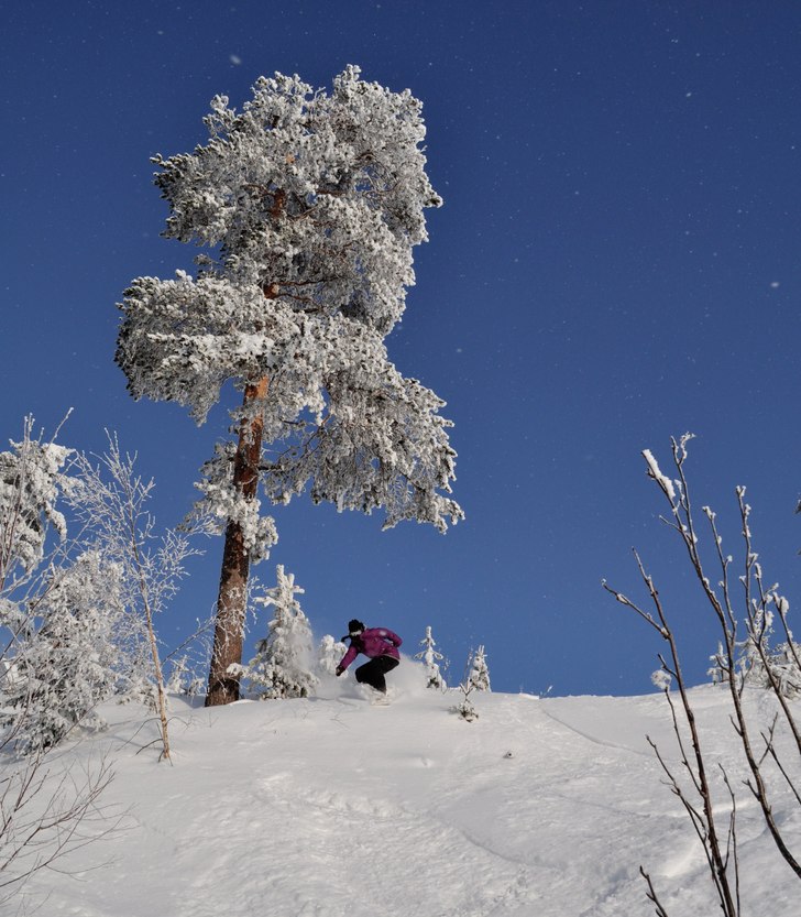Foto: Katarina Persson. Åkare: Hilla Aspman.
