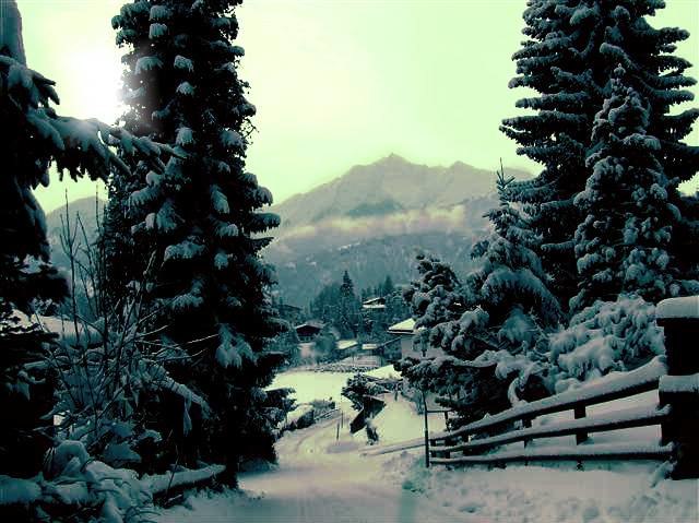 utsikten från hemmet. Foto: Hilla Aspman.