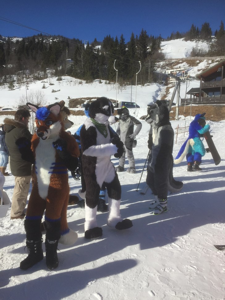 solen er på tur opp i dag også ..velkommen til o.