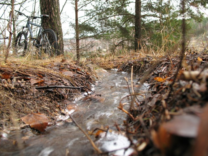 Foto: Alexander Fagerström. Åkare: Ingen.