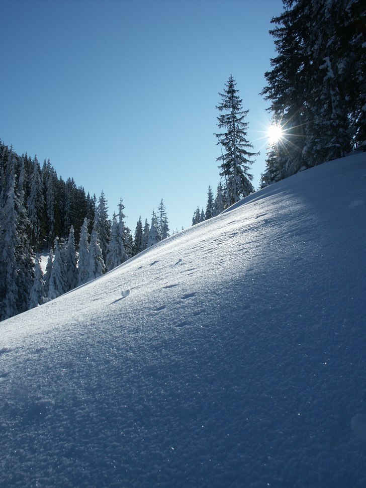 Foto: Martin Weinert. Åkare: Martin Weinert.