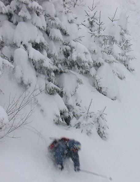 Snö. Foto: E.Gyllander. Åkare: Heda.