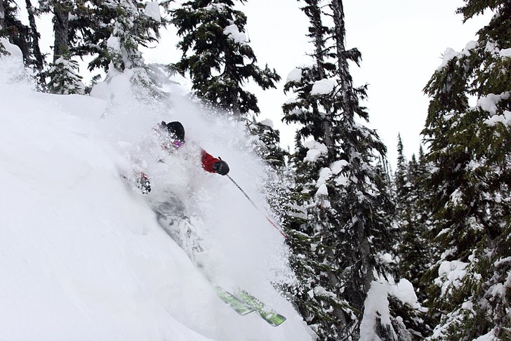 Eric Pehota rippin pow in Blackcomb.. Foto: Birger Holo. Åkare: Eric Pehota.