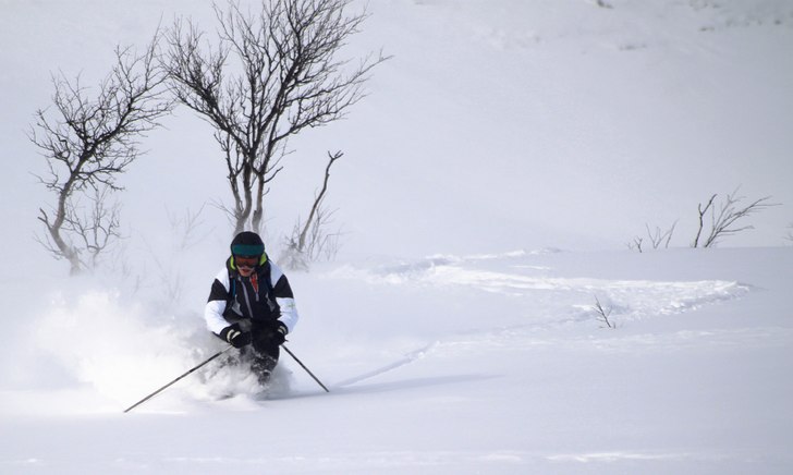 Foto: Joakim Jansson. Åkare: Dennis Guldstrand.