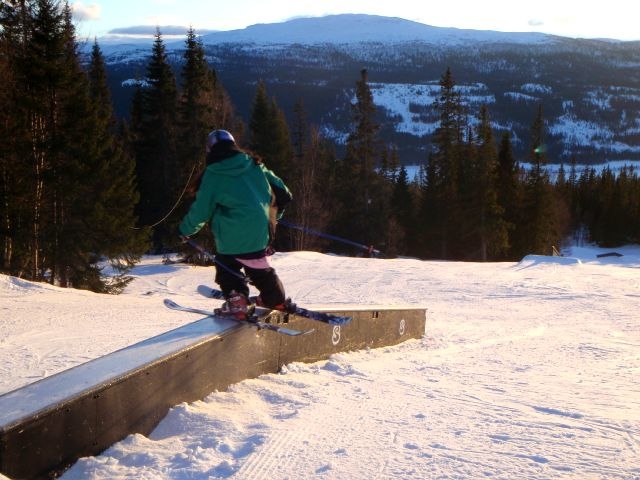 Kinky.. Foto: Anna Hollander. Åkare: Lee Myhr.