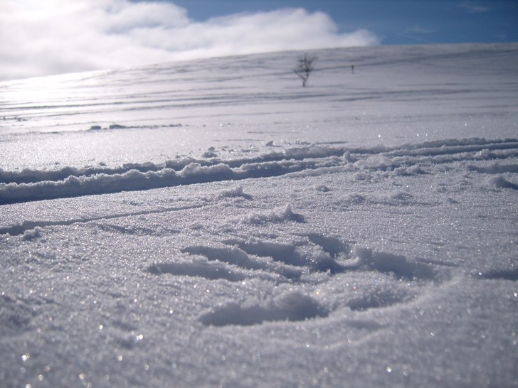 Snö. Foto: Annica karlsson.