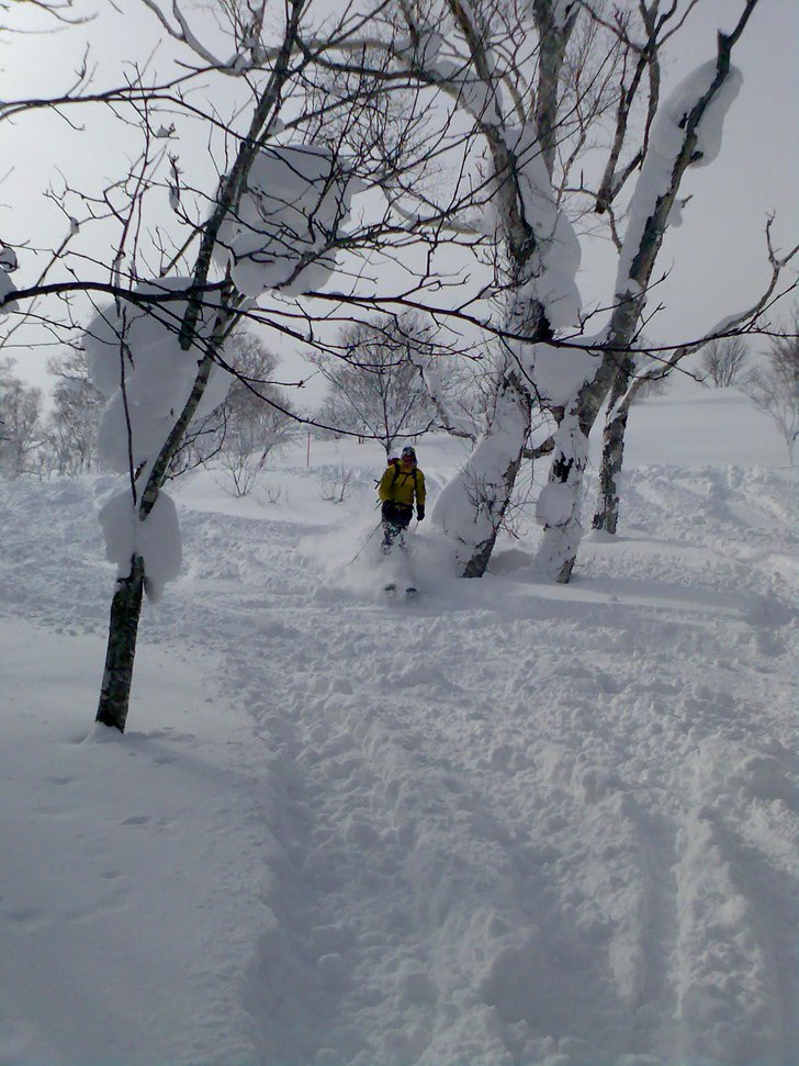 En av de få dagarna med sol - resten tok-snöade . Foto: Anna Lingvall. Åkare: Magnus Lingvall.