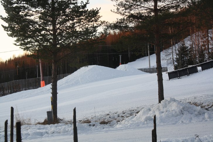 nya hoppet i bjästa . Foto: markus nordlund.