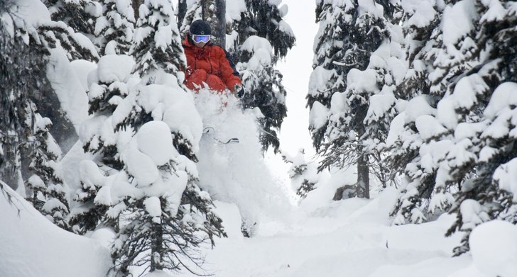 Hittade lite fina skogsåk efter nattens nysnö. Foto: Per Nyberg. Åkare: Karl "Karln" Norling.