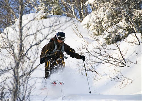 Skönt puder i Åre efter ett ruskigt bra snöovä. Foto: Ola Rockberg. Åkare: Erika Edling.