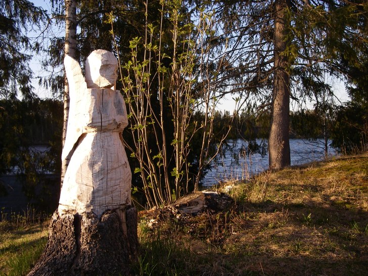 Skyddsängeln som kom fram ur granstubben när det. Foto: Mats Mäki. Åkare: Mats Mäki.