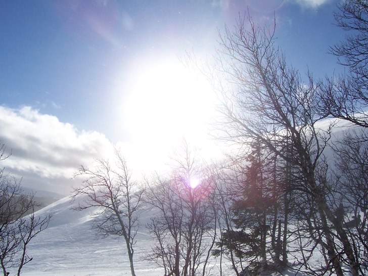 Foto: Malin Qvarfordt.