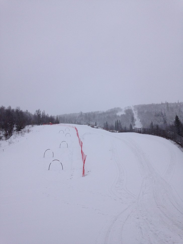 Barnas dager
Mandag, Tirsdag og Onsdag har vi barn.