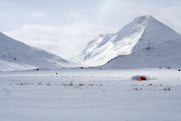 Foto: Robert Moskowitz.