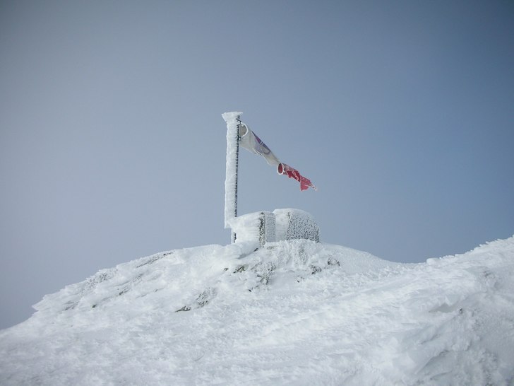 Foto: Viktor Sundvall.