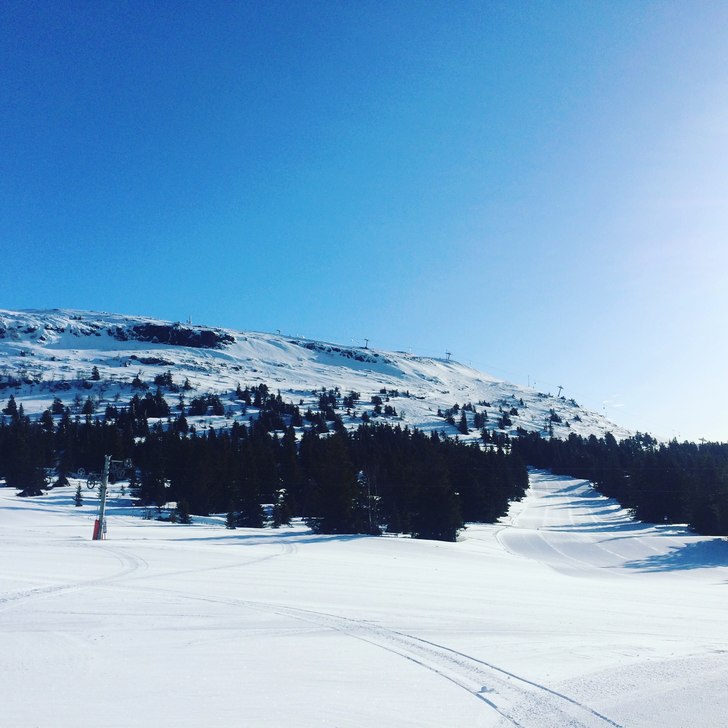 Sol, snø og vindstille ????????
.