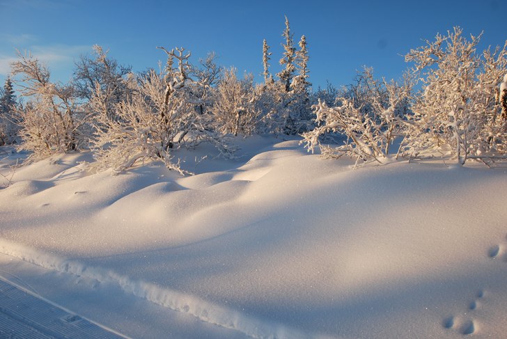 Snow makes me happy!. Foto: Tor Erik Westvik.