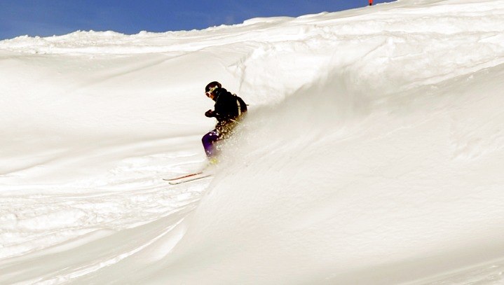 Foto: Mats Vestin. Åkare: Felicia Vestin.