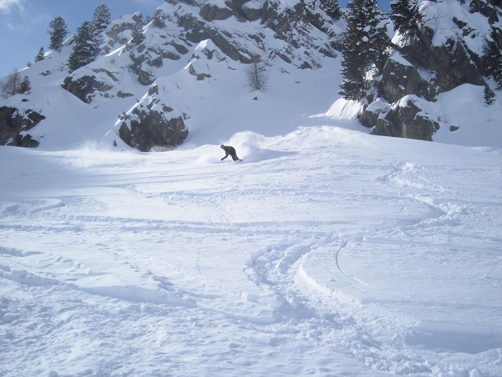 Foto: Mackan Jarlö. Åkare: Tobias Rydberg.