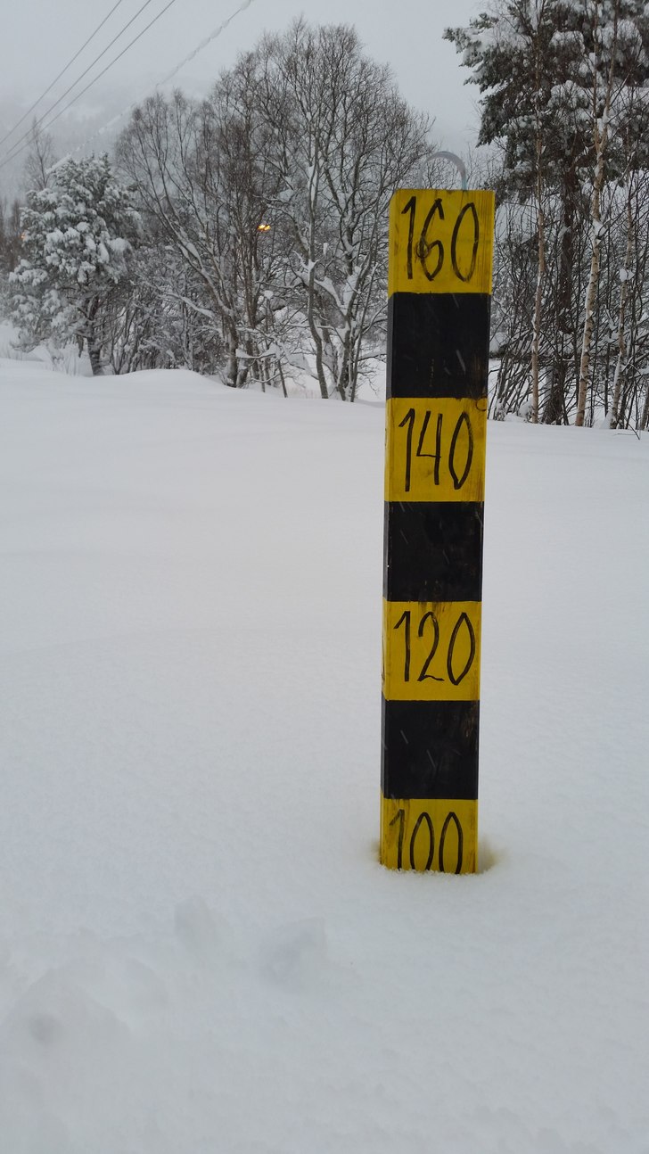 Pudder
Det snøvær nærmast samanheng ande,  og d.