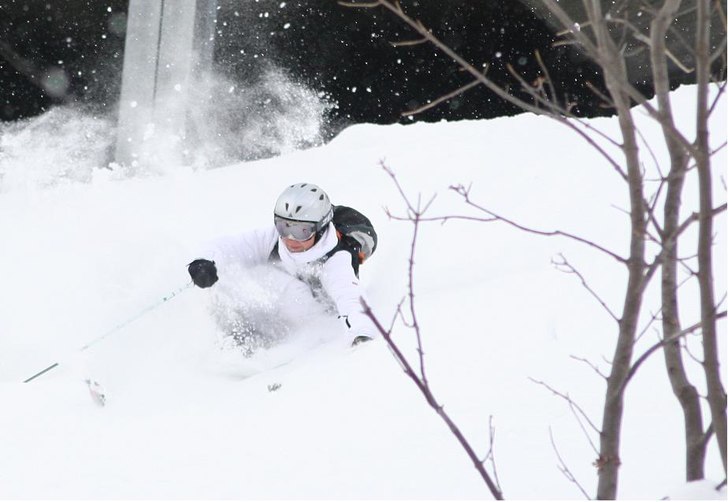 Foto: Dennbrink. Åkare: Sara Rönnberg.