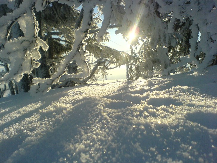 Tegefjäll kl. 09 -25 grader. Foto: Barbie. Åkare: Barbie.