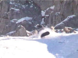 Dröm åket.... Foto: Bernhard Graber. Åkare: Samuel Graber.