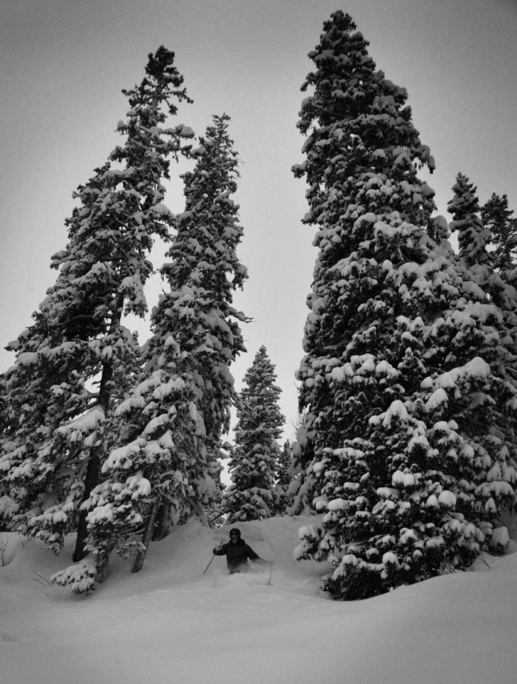 Foto: Peter Modigh. Åkare: Oscar Modigh.