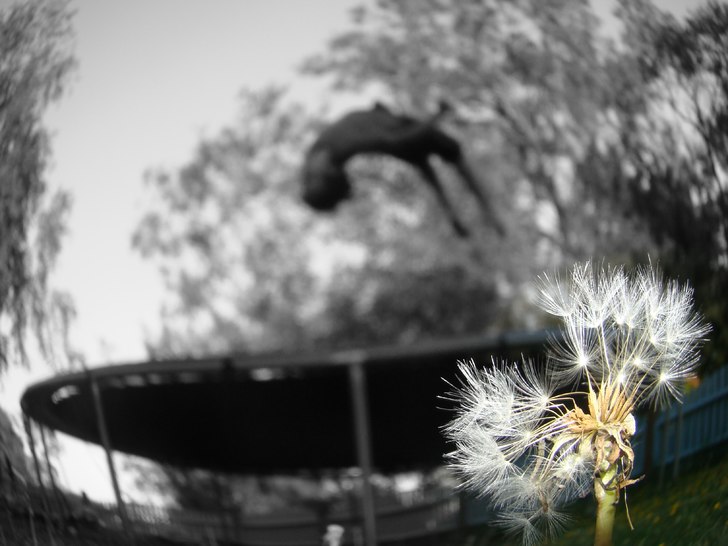 jag gör en back flip lite övererdigerad kanske e. Foto: viking ofc. Åkare: jag.