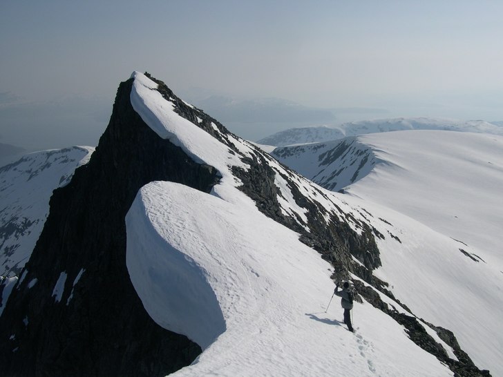 Foto: Tor-Edgar Ripman.