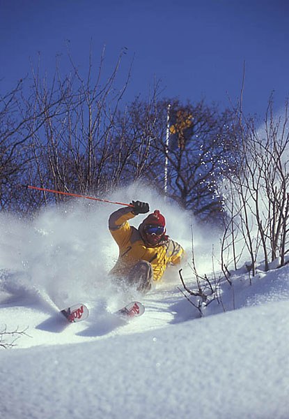 Foto: Alex Klun. Åkare: Sverre Liliequist.