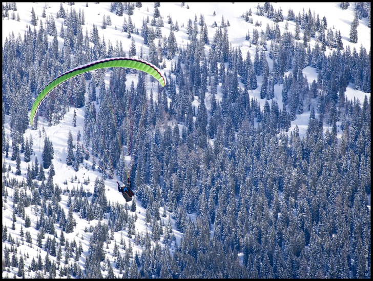 Foto: Stefan Bogren. Åkare: Okänd.