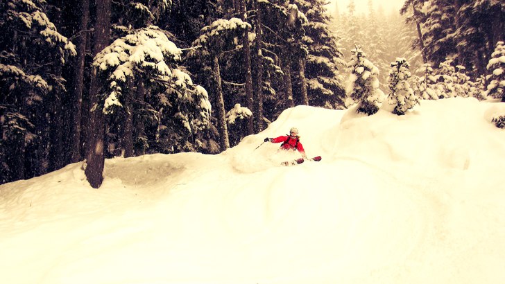 Båda skolkade från skolan i 2 veckor för att h�. Foto: Johanna Pärsson. Åkare: Julia Pärsson.