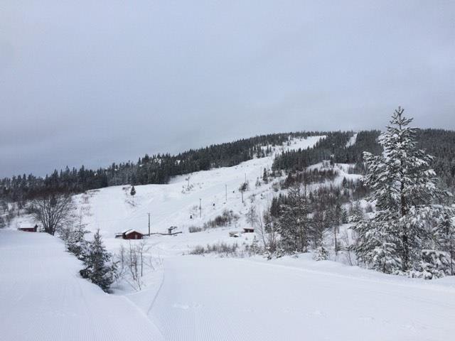 Jippi, 12 cm nysnø i natt og nypreppet!
Nedfarter.