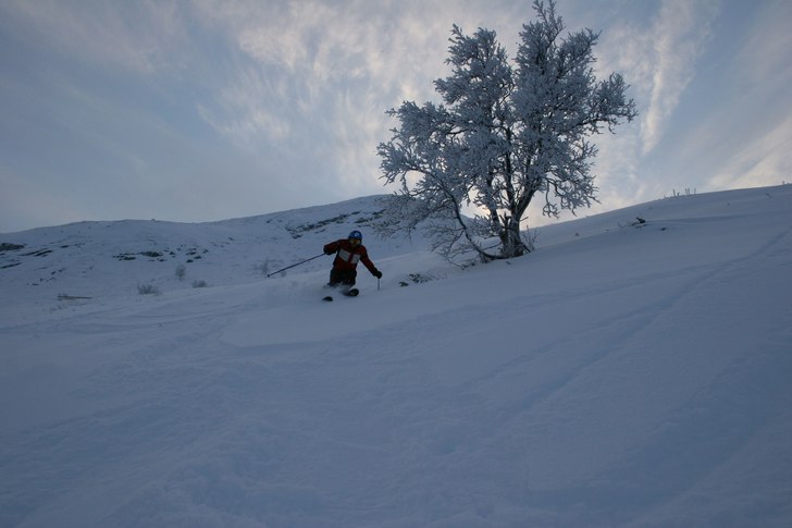 Foto: Mikael Kajbring. Åkare: tobias kajbring.