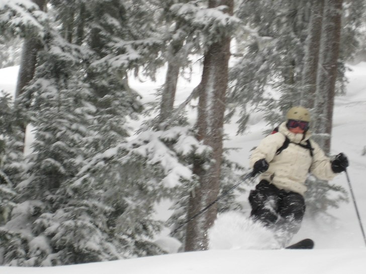 Skogsåkning. Foto: Andreas Albrecht. Åkare: Sara Ritzen.