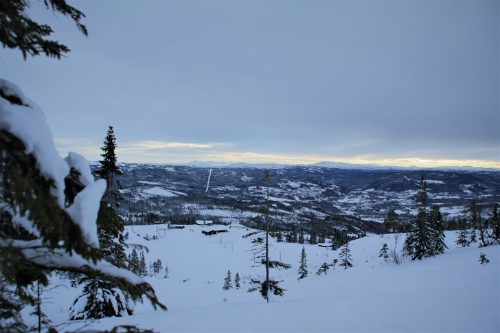 Snøen øker på
Vi har igjen fått snø og vi har.