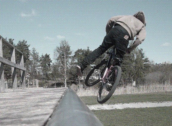 Foto: Sysse. Åkare: Linus.