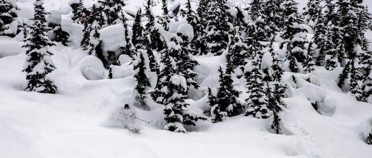 Mushroom People. Foto: Oskar Wagrelius. Åkare: Jacob Heyle.