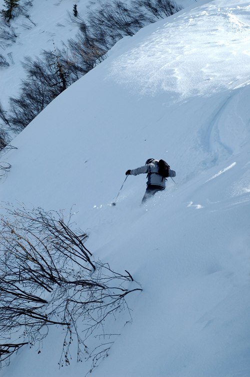 Foto: Peter Sundström. Åkare: Olle Sundström.