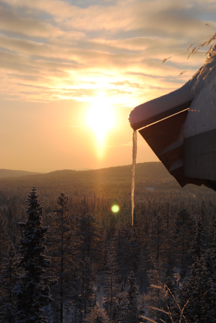 Foto: Linn Östlund.