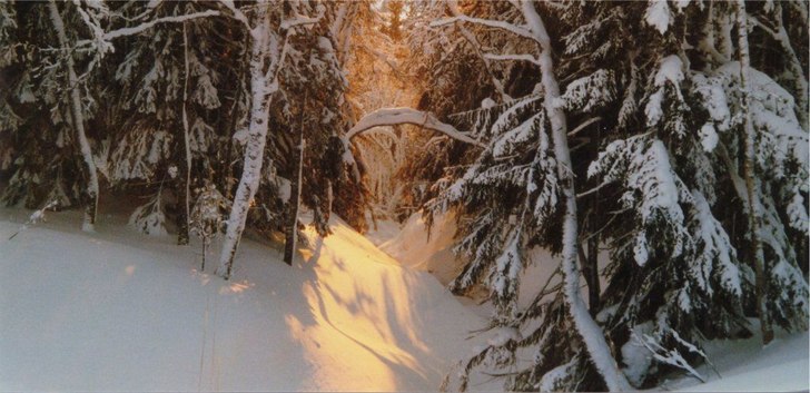 Foto: Markus Furendal. Åkare: --.