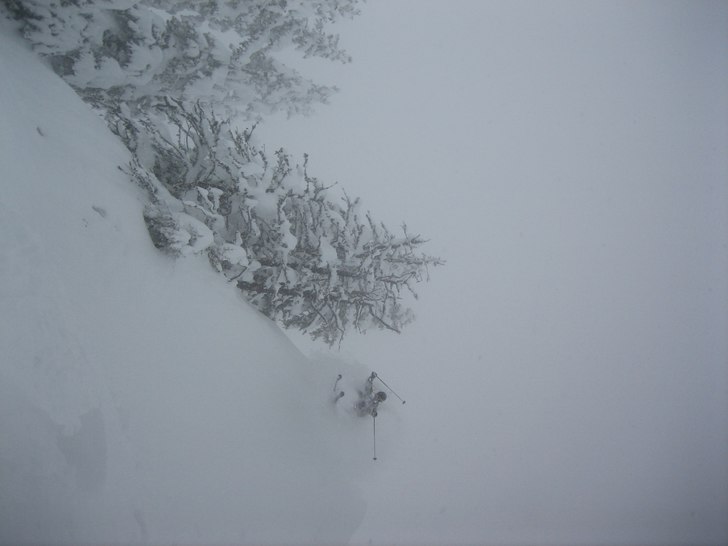 Puder puder puder....  . Foto: Nicklas Haglund. Åkare: Bosse Liljefors.