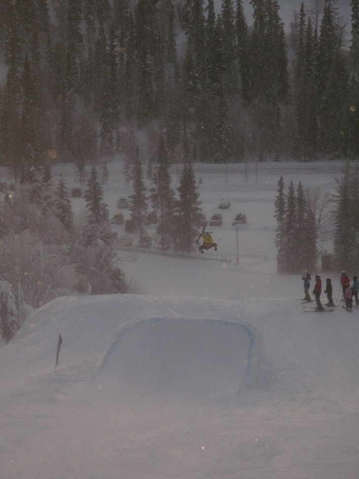 Foto: Lena Djuphammar. Åkare: Felix Djuphammar.
