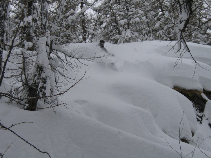 Floff floff i brevieres. Foto: dr Snuggles. Åkare: Rune norrman.