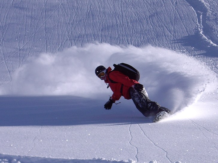 Foto: Robert Hortlund. Åkare: Steffe.