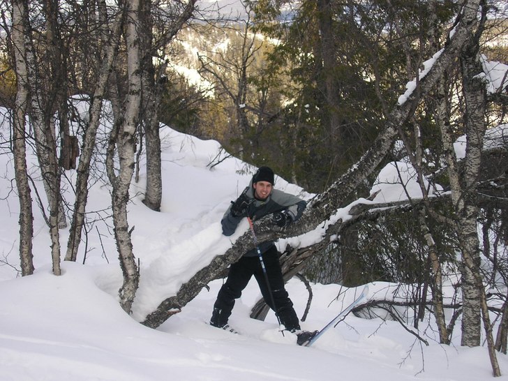 Skoj i Skogen. Foto: Emil Holmgren. Åkare: Tommy Westher.