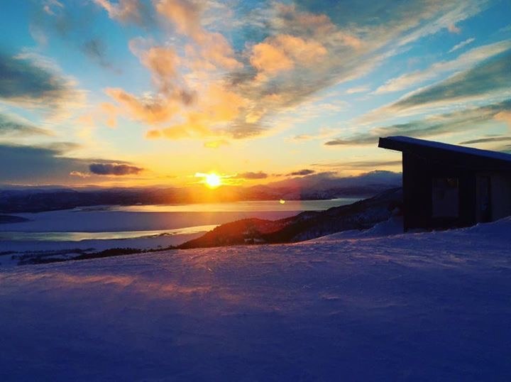 Snart helg :)
Kommer du ut i helga? Faste fine for.